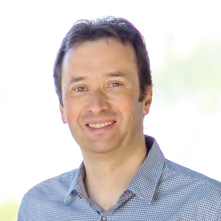 <em>Dominique Bonnet</em>