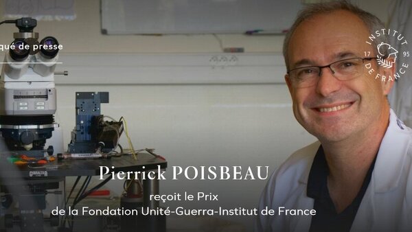 PIERRICK POISBEAU