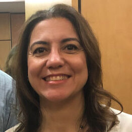 <em>Ipek Yalcin</em>