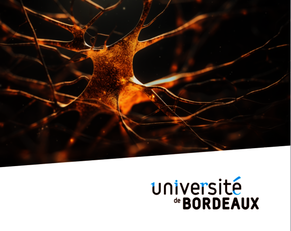 Université de Bordeaux